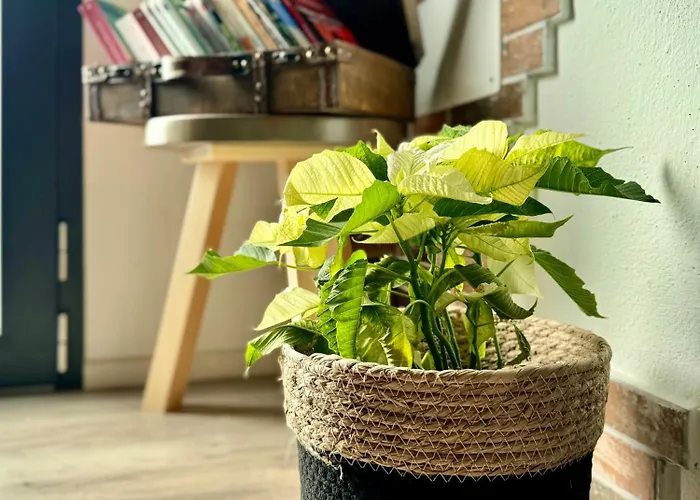 Pensjonat Civico36 Ilbono